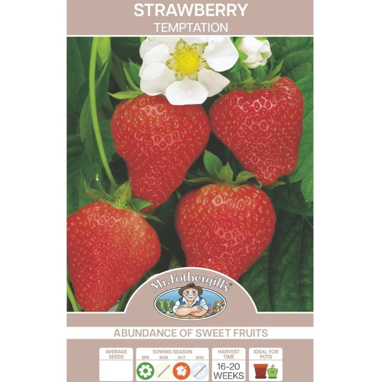 Strawberry Temptation Seeds