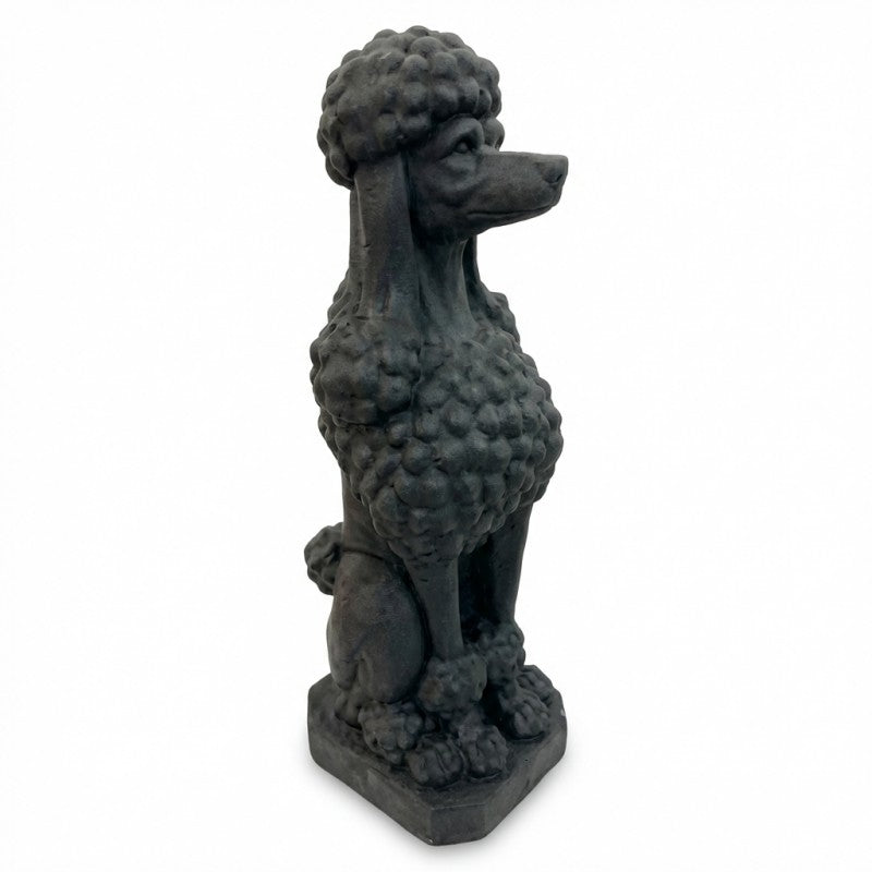 Taj the Poodle Black