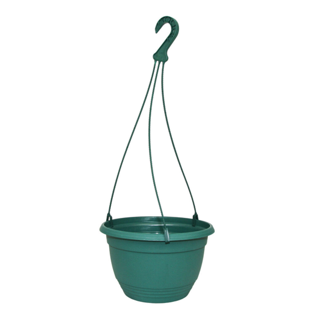 Hanging Basket 200mm With Hanger