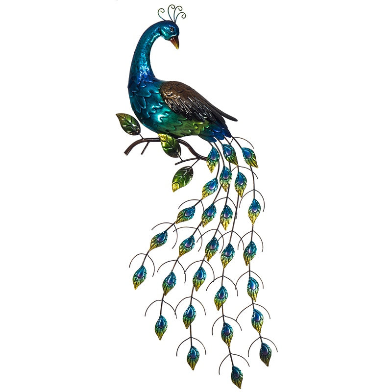 Peacock On Show