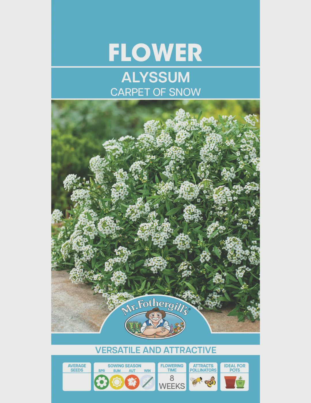 Alyssum Carpet of Snow Seeds