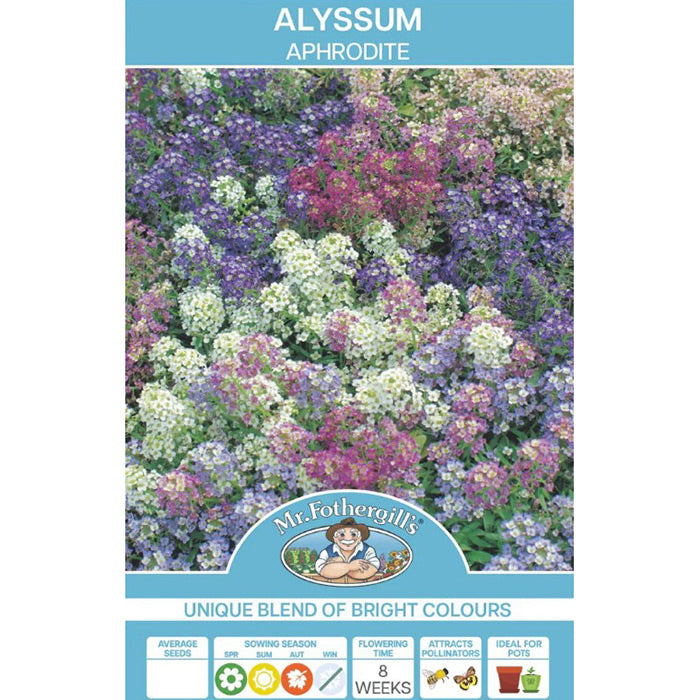 Alyssum Aphrodite Mixed Seeds