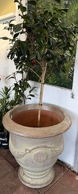 Anduze Urn Dynasty Cream