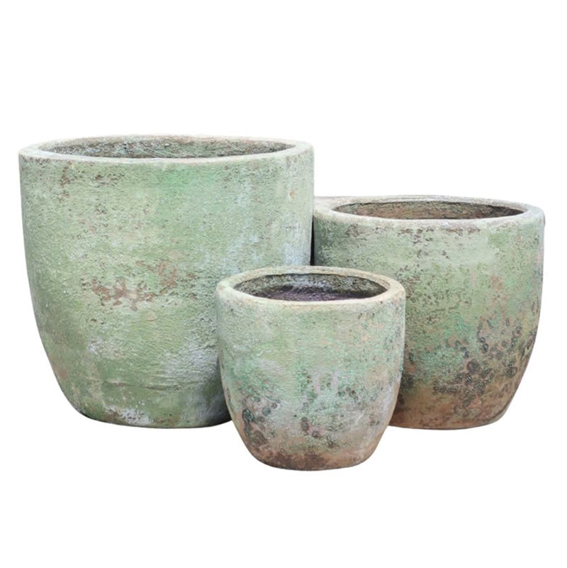 Annatto Egg Antique Cream