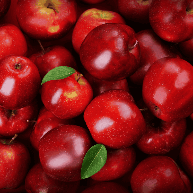 Apple 'Red Delicious' Semi-Dwarf