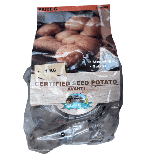Potato Avanti - 1kg