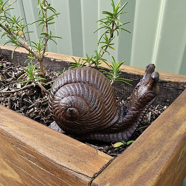 Cast Iron - Snail