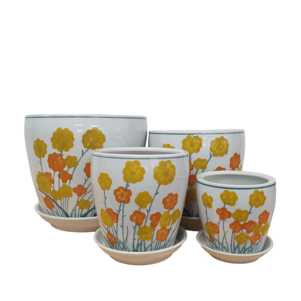 Billy Buttons Planter