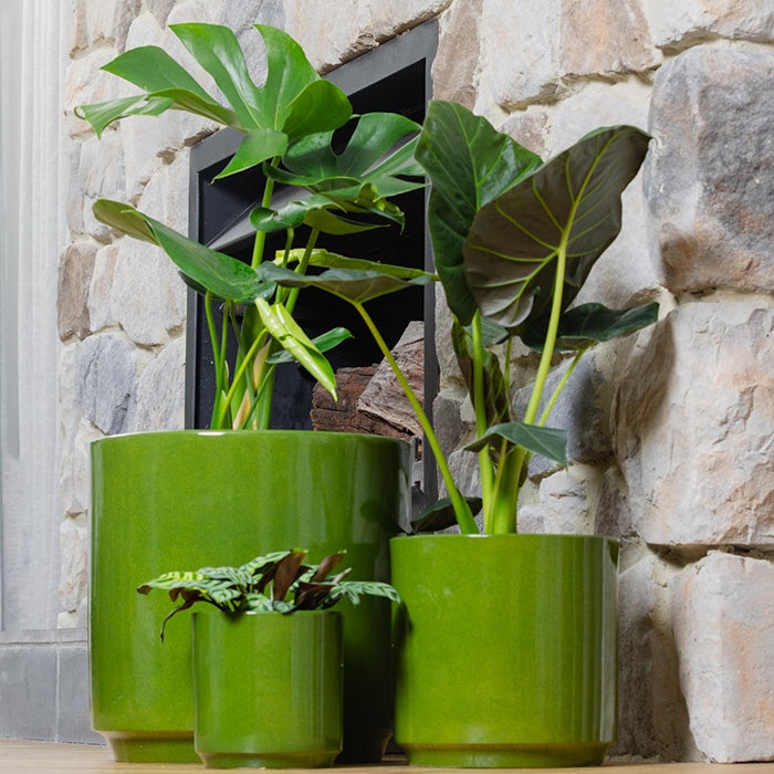 Farah Cylinder Pot Green