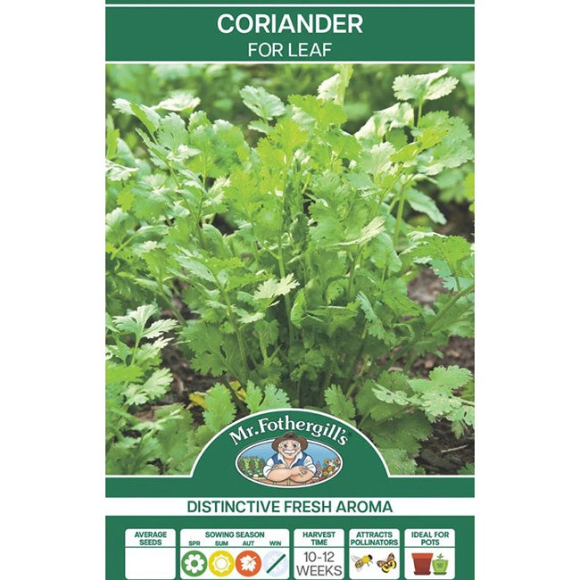 Coriander Seeds