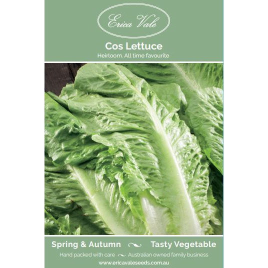 Lettuce Cos Seeds