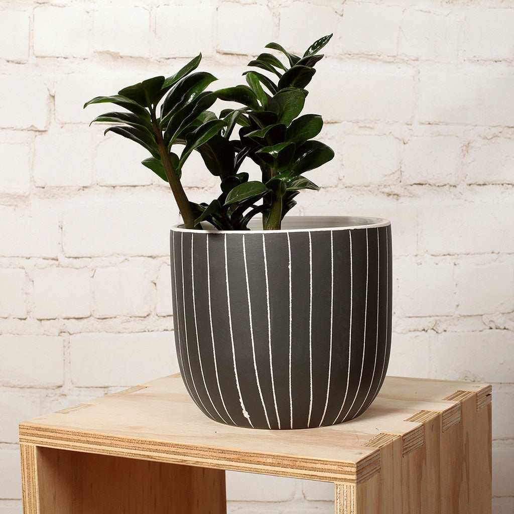 Striped Pot