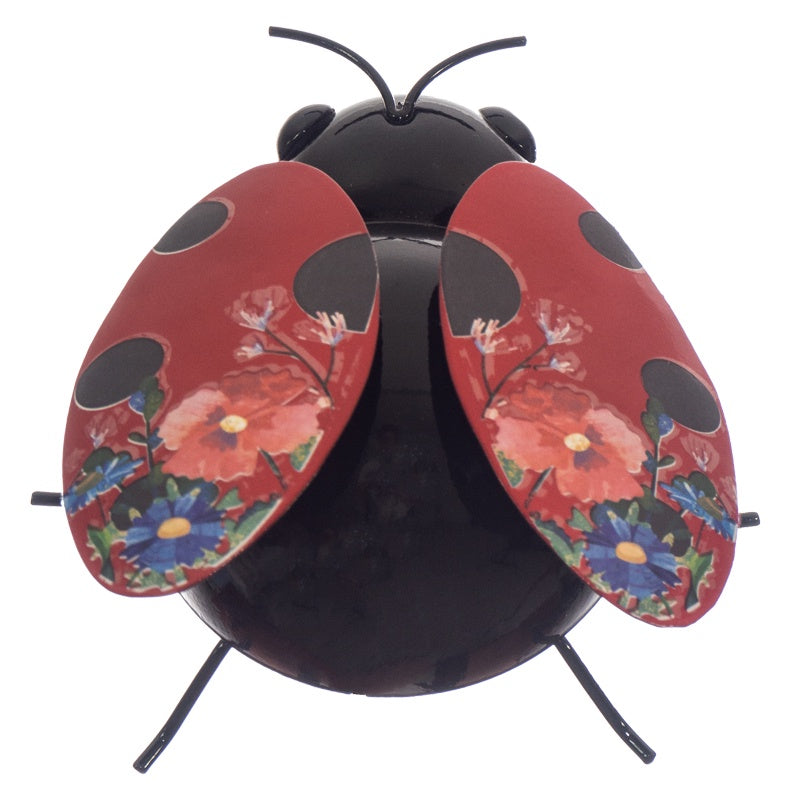 Dainty Ladybird