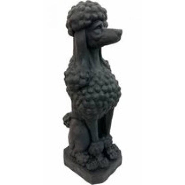 Taj The Poodle Black