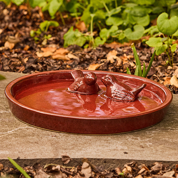 Eva Bird Bowl