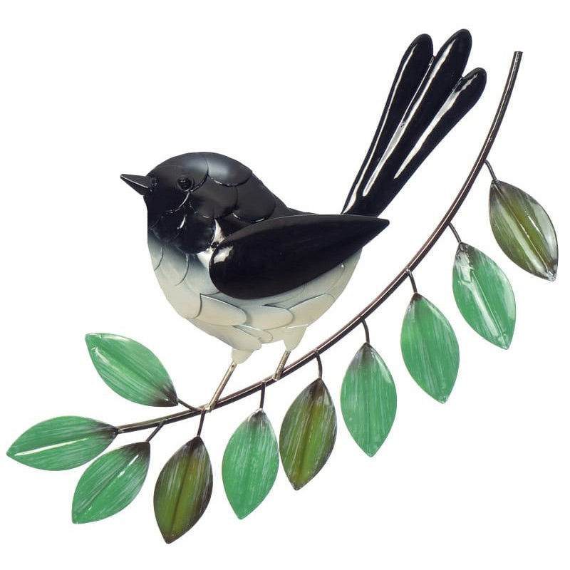 Elegant Willie Wagtail