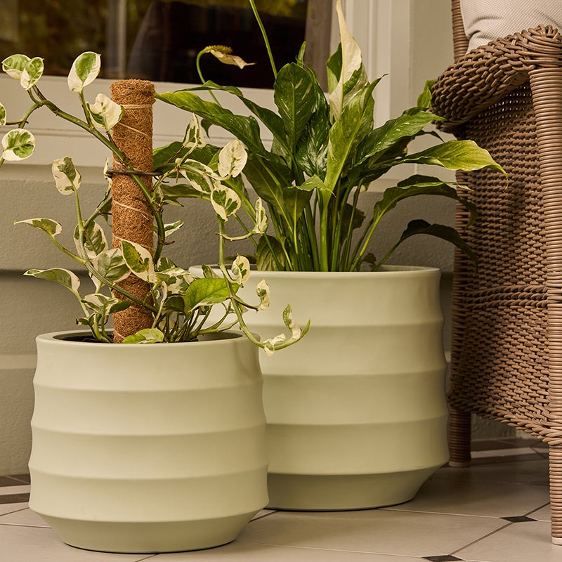 Ellipse Round Pot Mint – Gardenworld