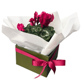 Mother's Day Gift Wrap