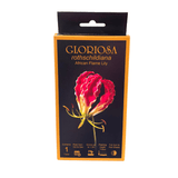 Gloriosa Lily - Tuber