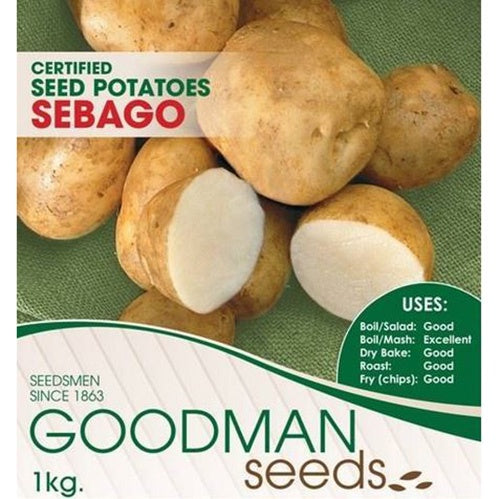 Seed Potato Sebago 1kg