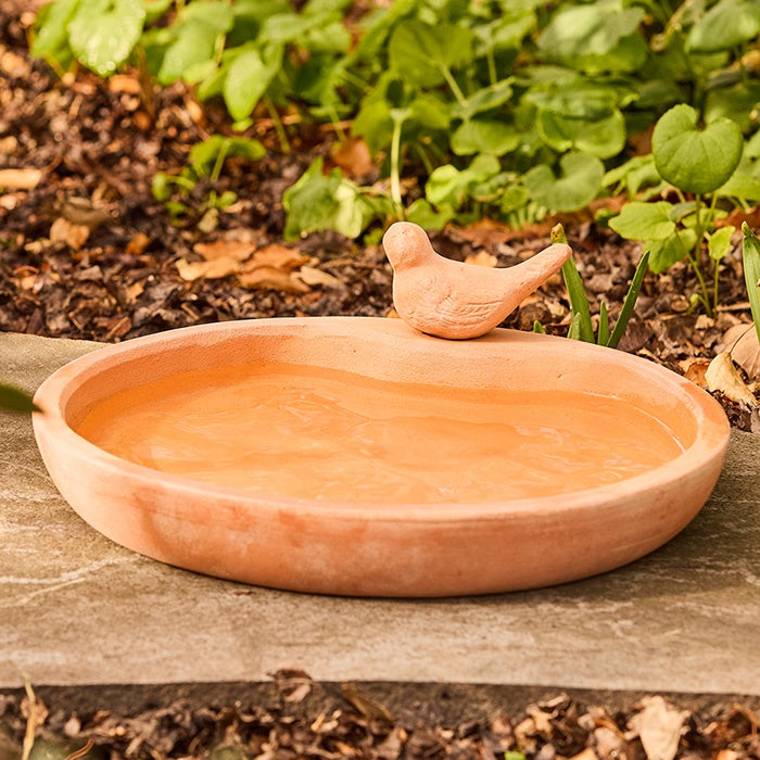 Hammond Bird Bowl