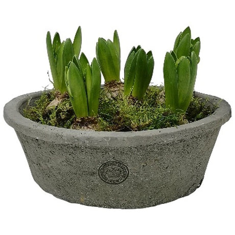 Kew Terra Dish Planter 25x8cm