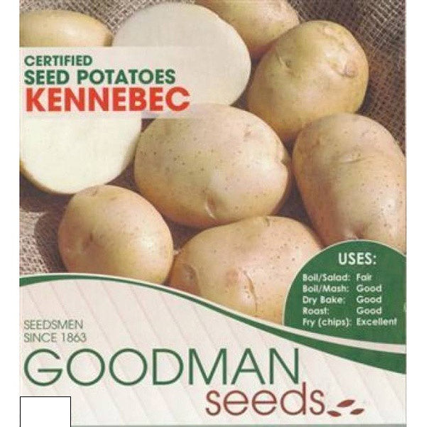 Seed Potato Kennebec 1kg