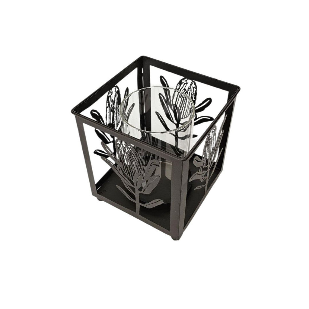 Banksia Lantern