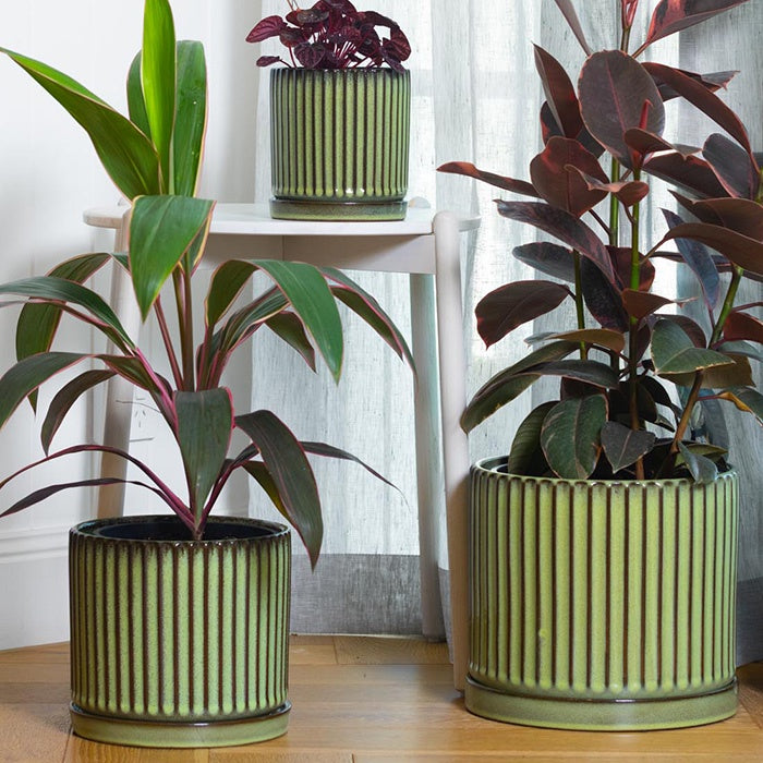Louis Pot with Saucer Green