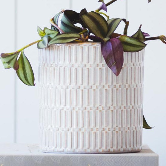 Malli Pot Natural 15cm