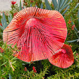 Mushroom Stake Double