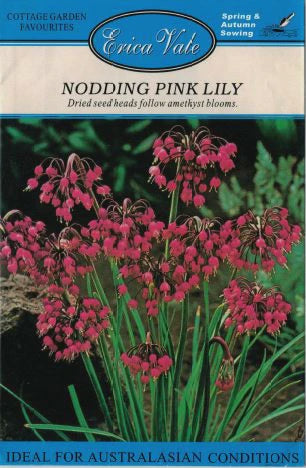 Nodding Pink Lily Seeds