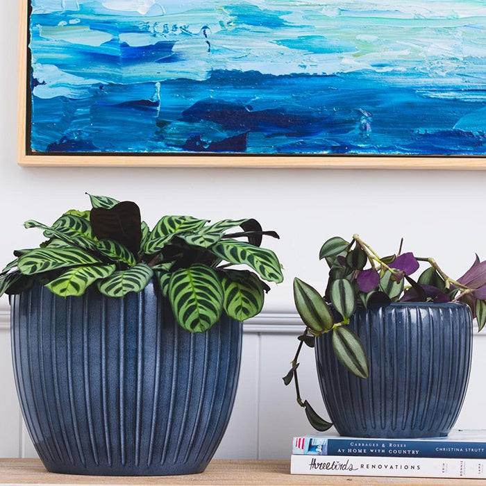 Nora Pot Blue
