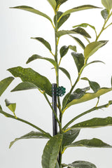 Orchid Clips - Pack of 20