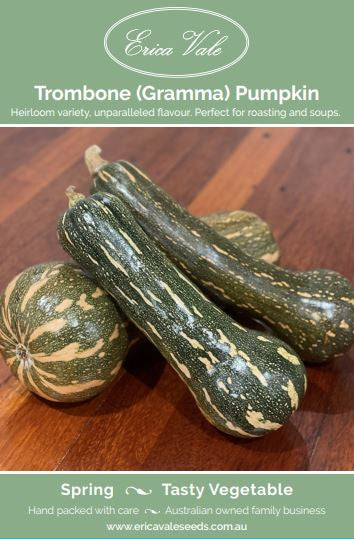 Pumpkin Trombone Seeds