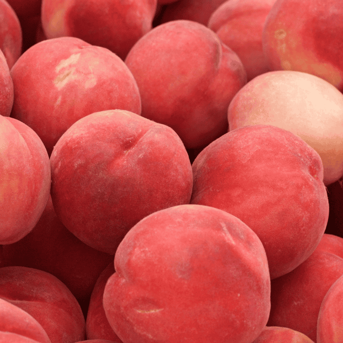 Peach Ruby Sensation