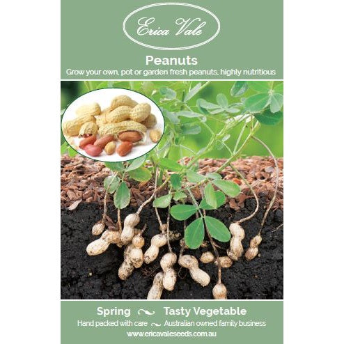 Peanut Seeds