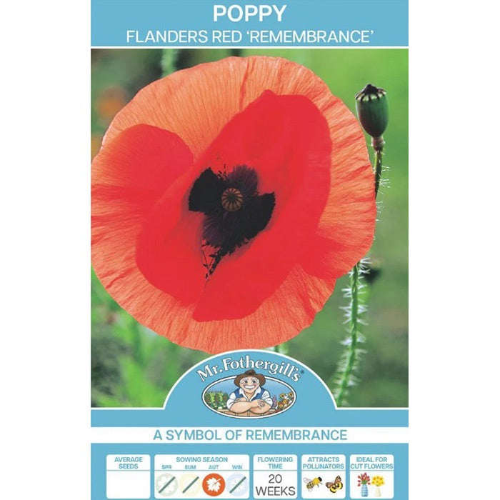Poppy Flanders Red Remembrance Seeds