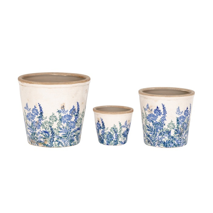 Pot Lavender Tall