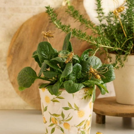 Pot Lemon Tall