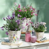 Pot Wildflower Tall