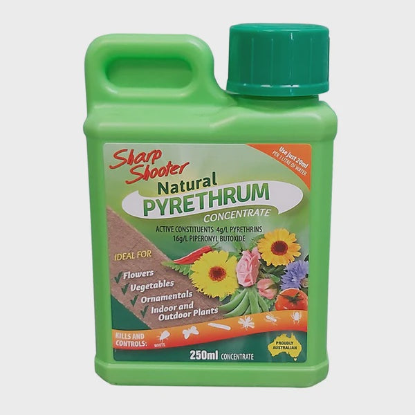 Pyrethrum Concentrate 200mL – Gardenworld