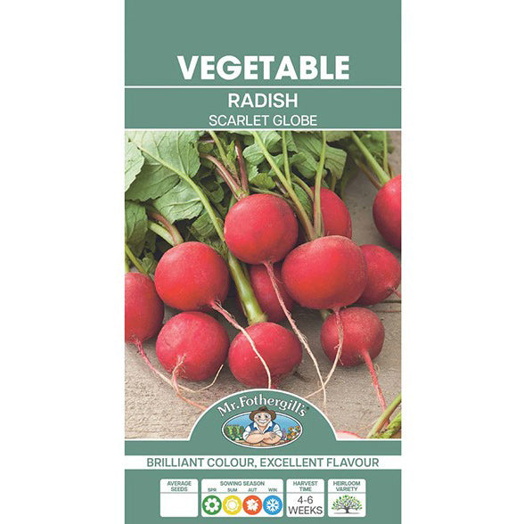 Radish Scarlet Globe