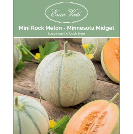 Mini Rock Melon Minnesota Midget Seeds