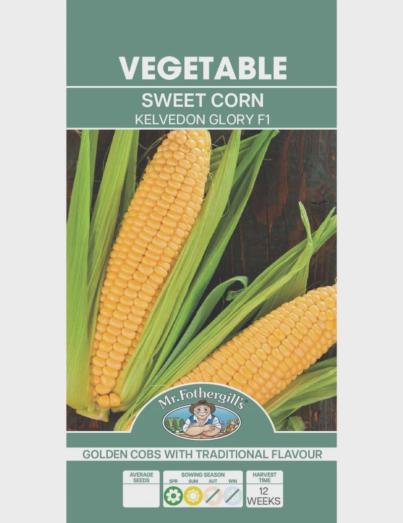 Sweet Corn Kelvedon Glory F1 Seeds