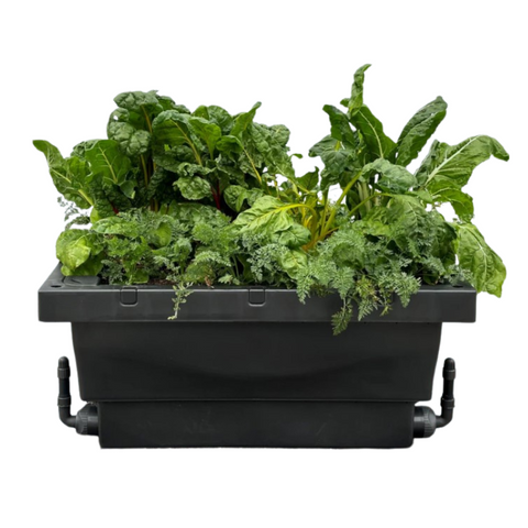 Foodcube – Gardenworld