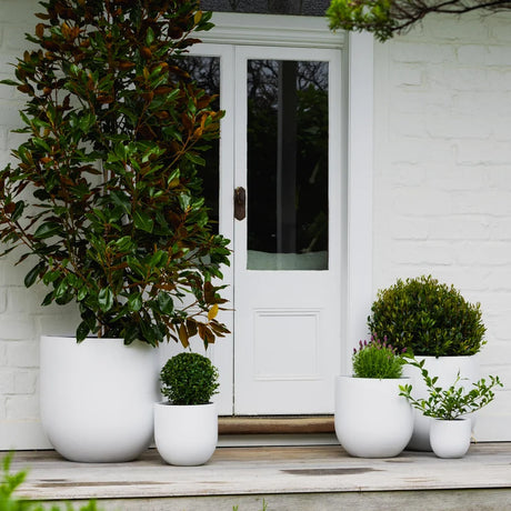 Satine Egg Pot White