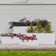 Troughs