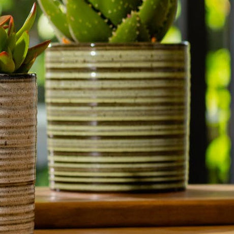 Suri Cylinder Pot Green