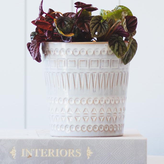 Tamal Pot Natural 15cm